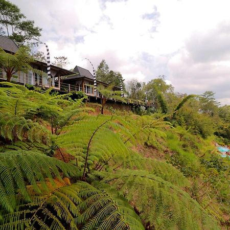 Hotel The Bejalin Eco Retreat Plaga Exteriér fotografie
