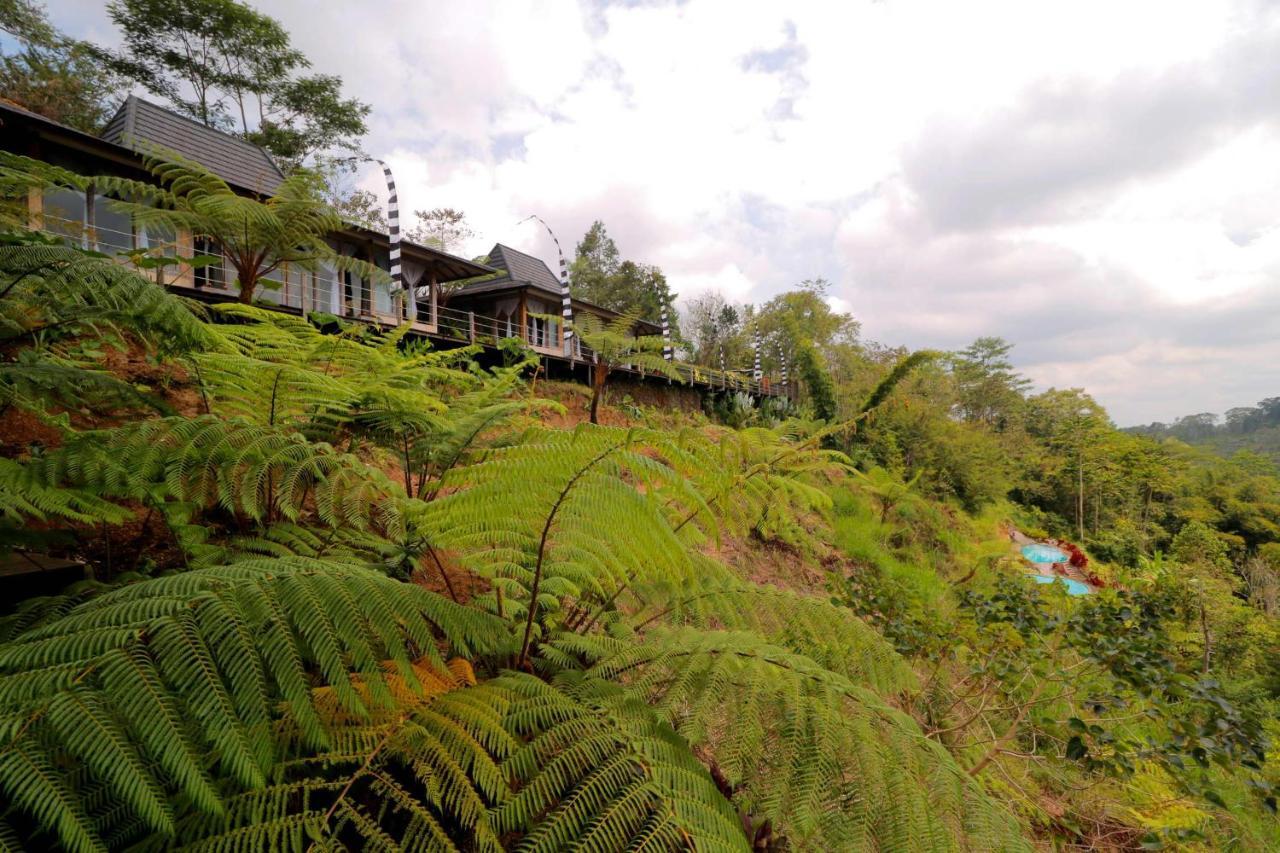 Hotel The Bejalin Eco Retreat Plaga Exteriér fotografie
